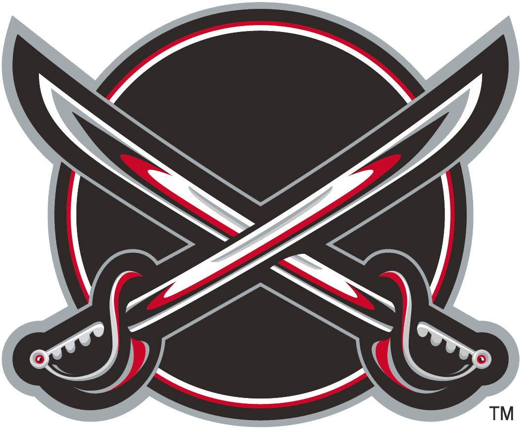 Buffalo Sabres 2000-2006 Alternate Logo iron on transfers for fabric